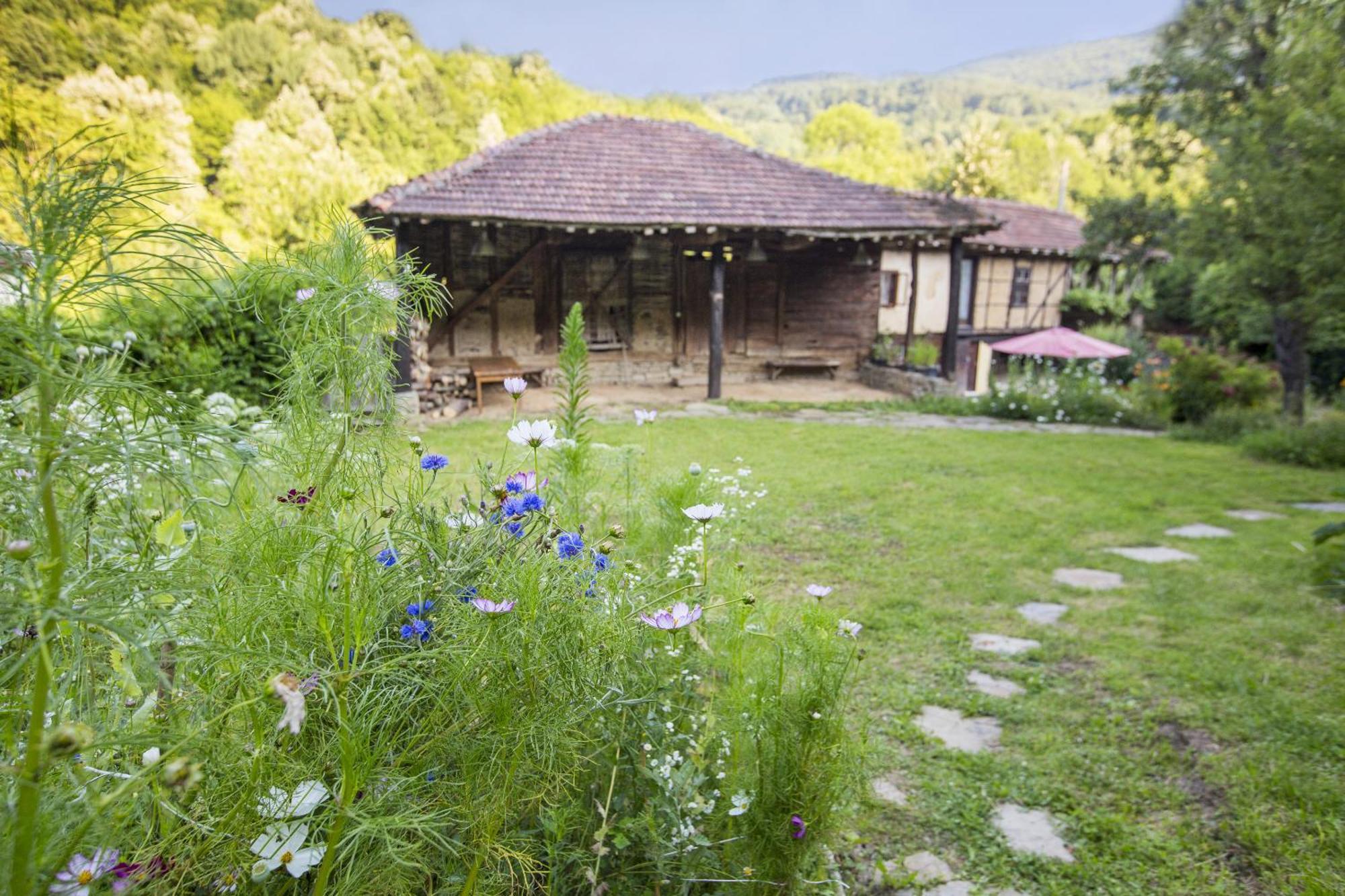 Little River Guest House Gabrowo Exterior foto