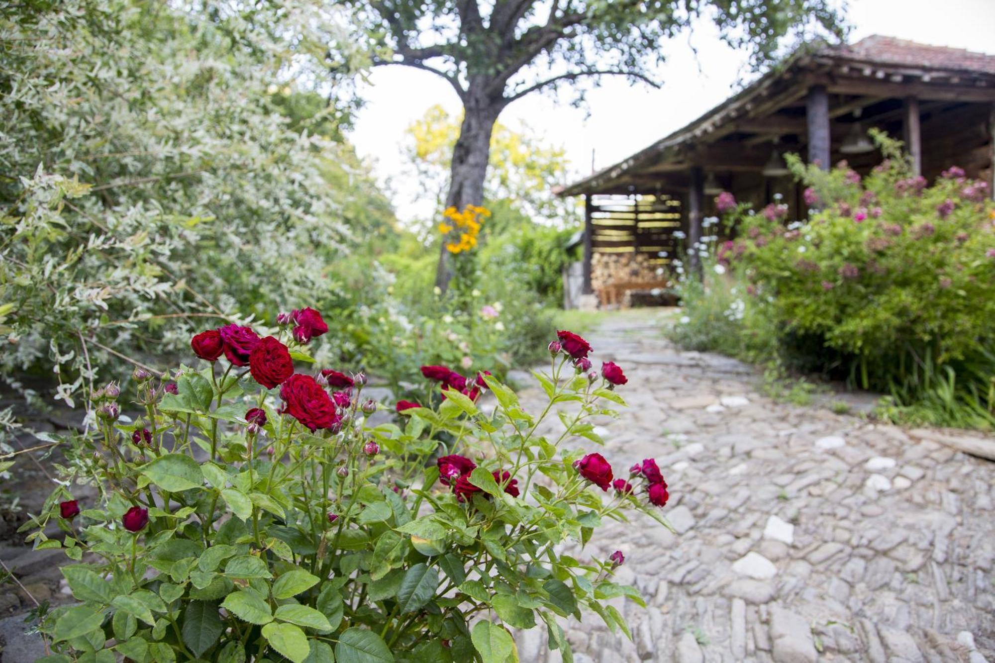 Little River Guest House Gabrowo Exterior foto